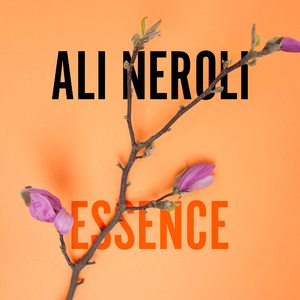 色多多视频成人影院
