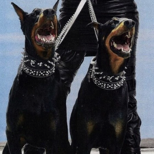 色多多视频成人影院
